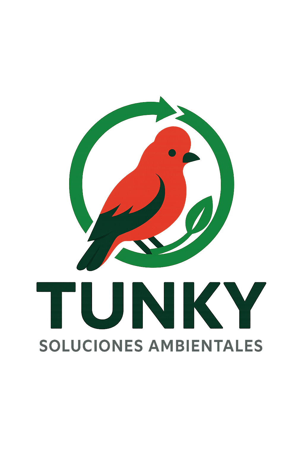 Galería Tunky
